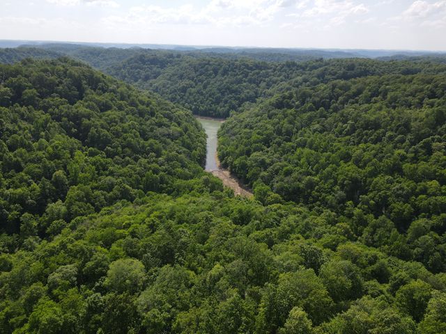 0 Clemons Ridge Rd, Silver Point, TN 38582