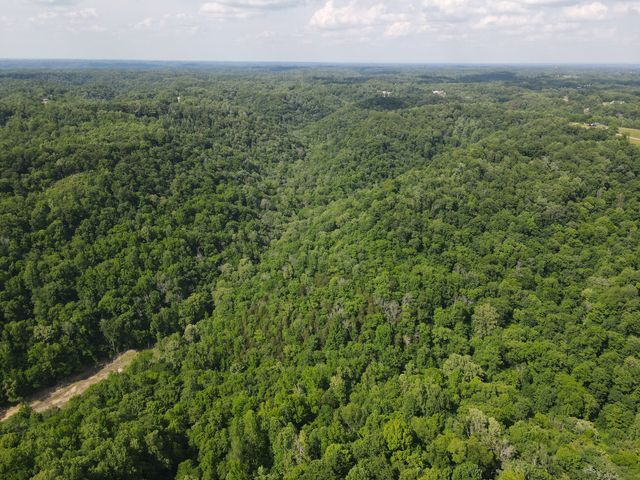 0 Clemons Ridge Rd, Silver Point, TN 38582