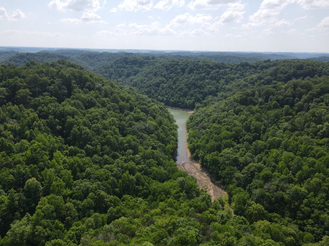 0 Clemons Ridge Rd, Silver Point, TN 38582