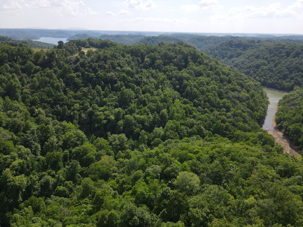 0 Clemons Ridge Rd, Silver Point, TN 38582