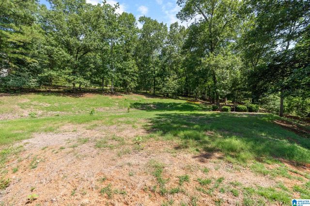 113 SOUTHVIEW TERRACE, Hoover, AL 35244