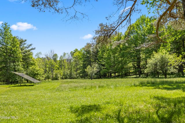 863 Turnbull Road, Delanson, NY 12053