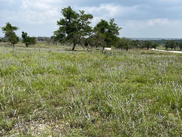 Lot 8 Sweetwind, Harper, TX 78631