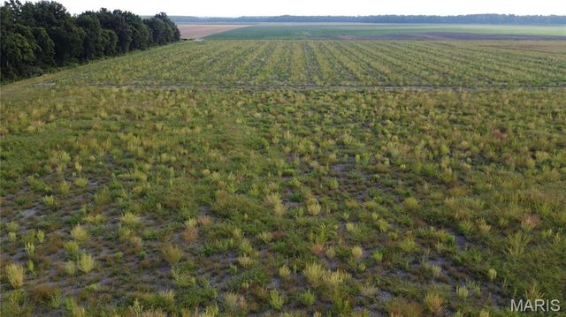 0 County Road 507, East Prairie, MO 63845