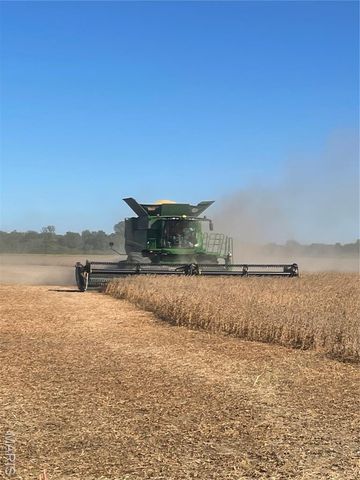 0 County Road 507, East Prairie, MO 63845