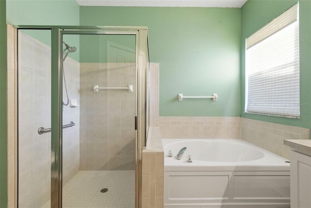 10232 GRANT CREEK DRIVE, Tampa, FL 33647