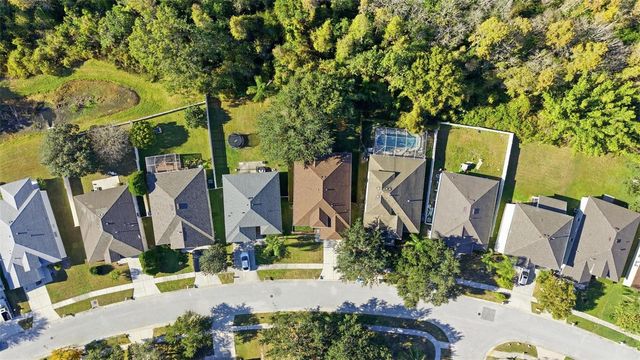 10232 GRANT CREEK DRIVE, Tampa, FL 33647