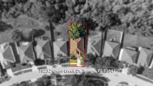 10232 GRANT CREEK DRIVE, Tampa, FL 33647