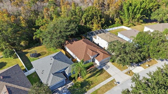 10232 GRANT CREEK DRIVE, Tampa, FL 33647
