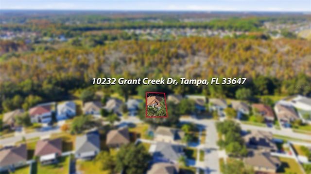 10232 GRANT CREEK DRIVE, Tampa, FL 33647