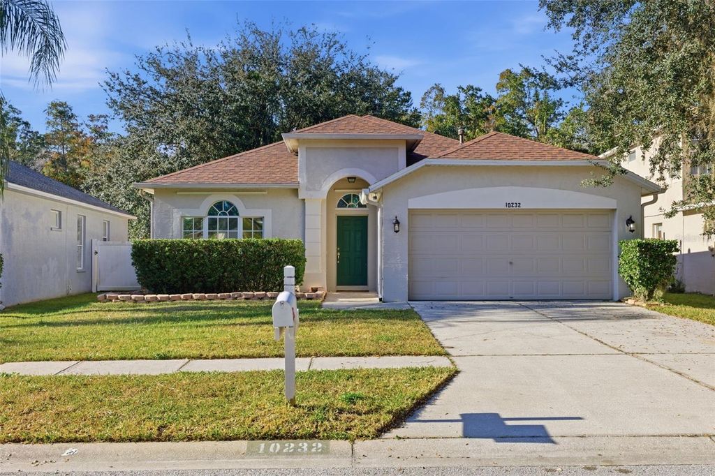10232 GRANT CREEK DRIVE, Tampa, FL 33647