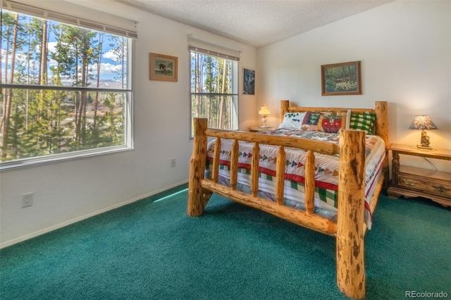 135 GCR 480, Grand Lake, CO 80447