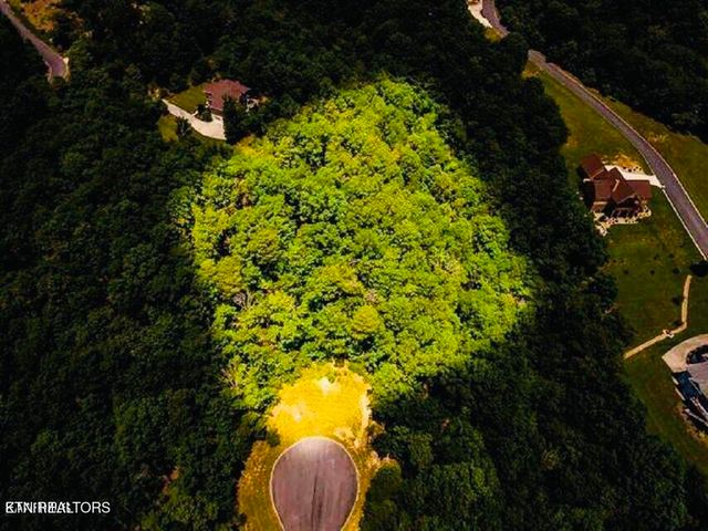 8028 Mountain Ridge Drive, Mooresburg, TN 37811