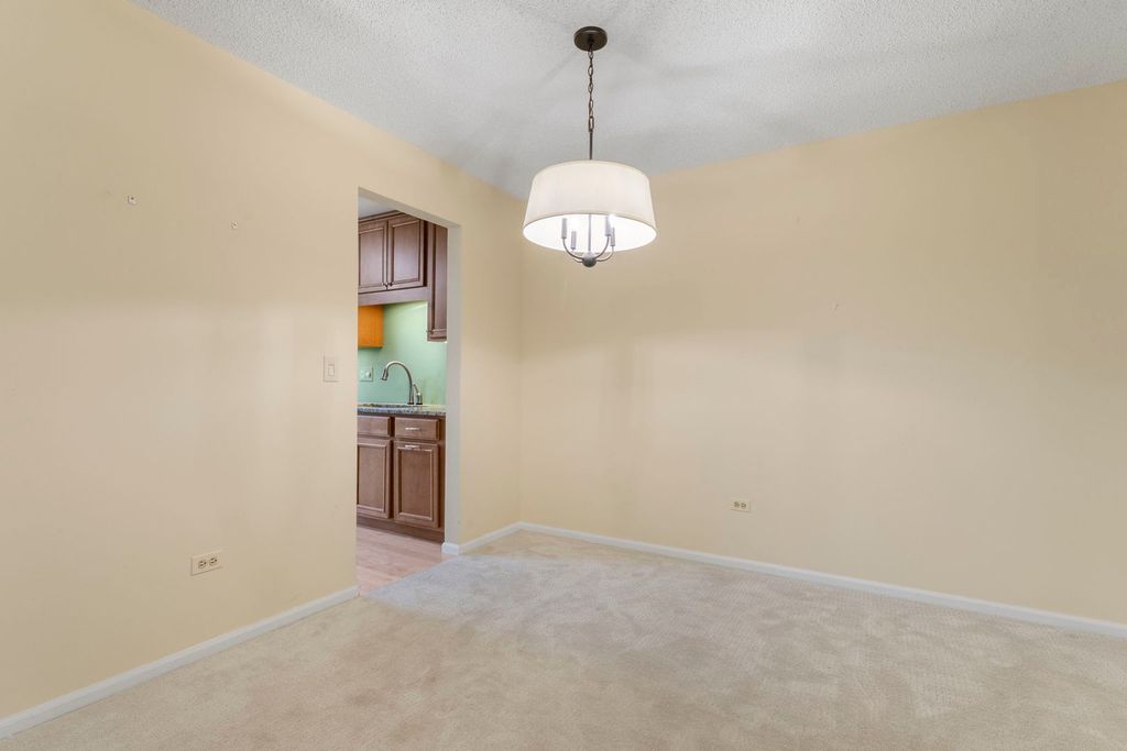 386 Elizabeth Drive 386, Wood Dale, IL 60191 — photo 4