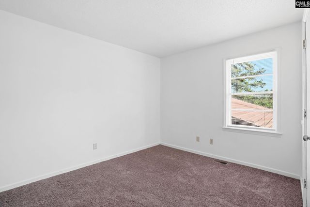 3109 Bachman Road, Gaston, SC 29053