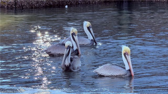 16050 Tierra PLZ, Fort Myers, FL 33908