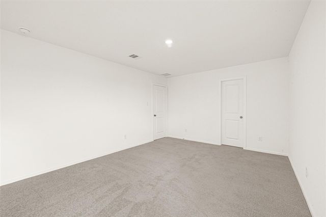 21523 Willow River Canyon Lane, Waller, TX 77484