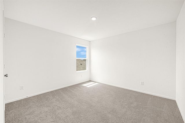 21523 Willow River Canyon Lane, Waller, TX 77484