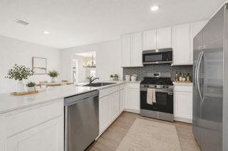 21523 Willow River Canyon Lane, Waller, TX 77484