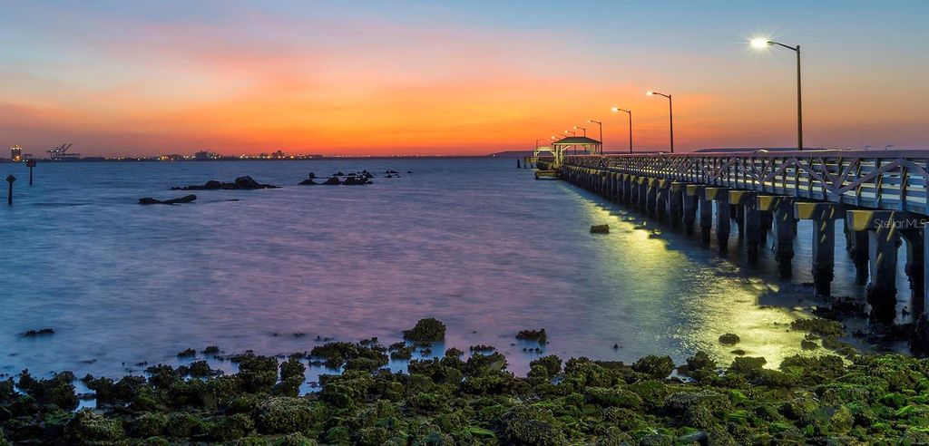 Image 53 of property listing at 3104 W FIELDER STREET, Tampa, FL 33611