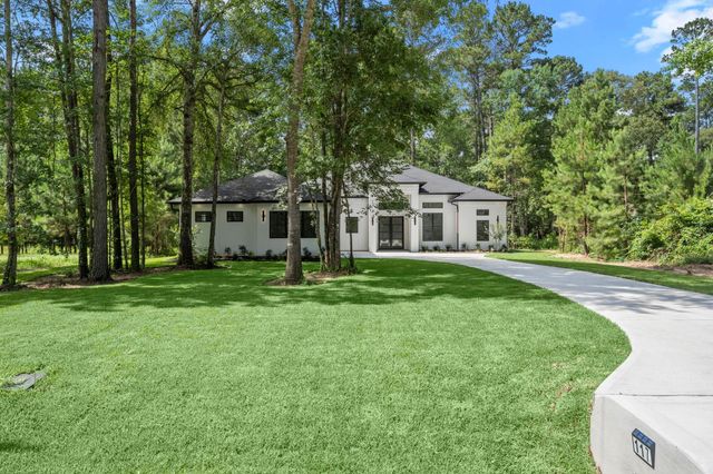 117 Sandpiper Drive, New Waverly, TX 77358