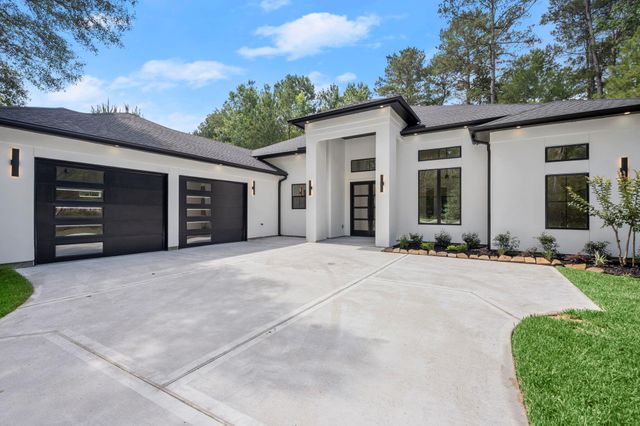 117 Sandpiper Drive, New Waverly, TX 77358