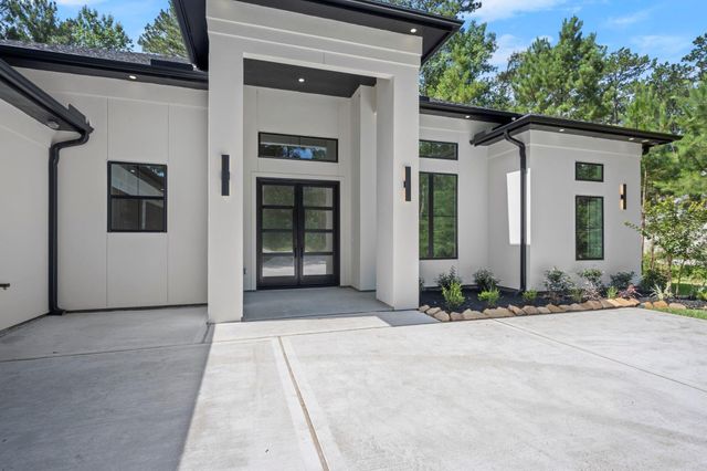 117 Sandpiper Drive, New Waverly, TX 77358