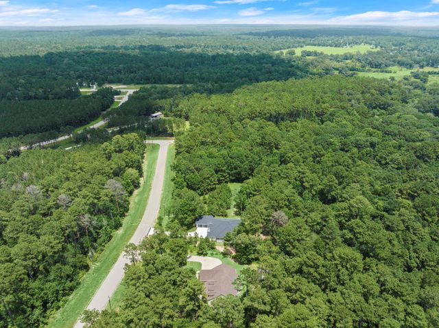 117 Sandpiper Drive, New Waverly, TX 77358