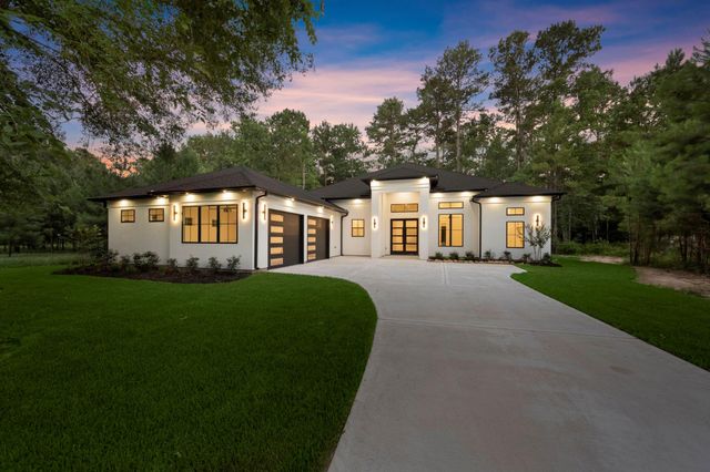 117 Sandpiper Drive, New Waverly, TX 77358