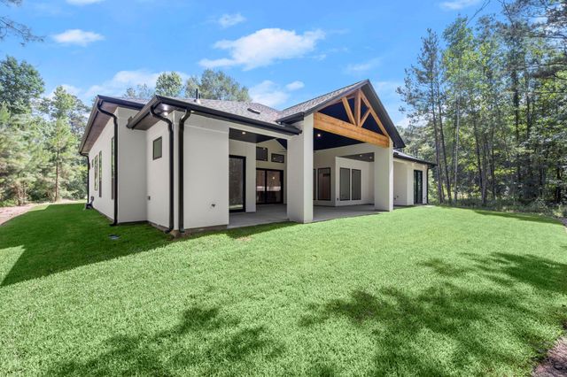 117 Sandpiper Drive, New Waverly, TX 77358