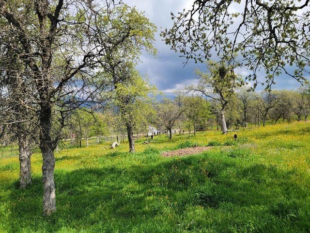 33323 Buttercup Lane, Yokuts Valley, CA 93675