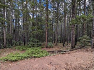 3022 Bolwell Ln, Fort Garland, CO 81133