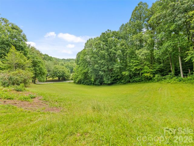 586 Olivet Church Road, Whittier, NC 28789