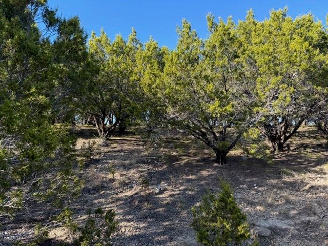 Lot 599 Caprock Court, Possum Kingdom Lake, TX 76449