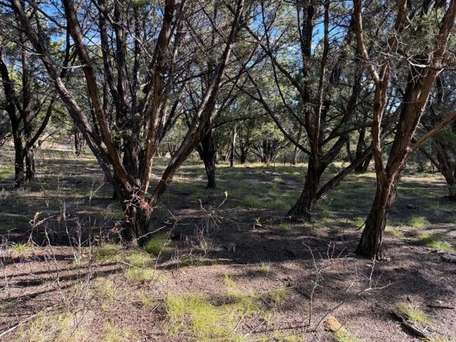 Lot 599 Caprock Court, Possum Kingdom Lake, TX 76449