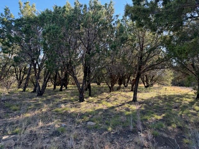 Lot 599 Caprock Court, Possum Kingdom Lake, TX 76449