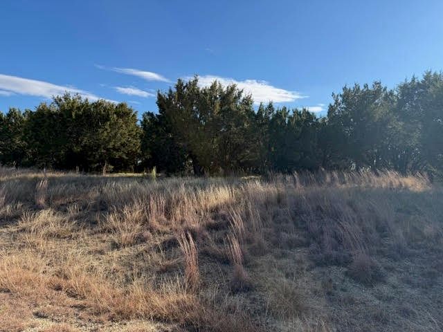 Lot 599 Caprock Court, Possum Kingdom Lake, TX 76449