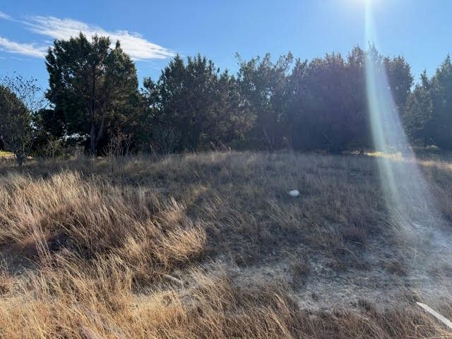 Lot 599 Caprock Court, Possum Kingdom Lake, TX 76449
