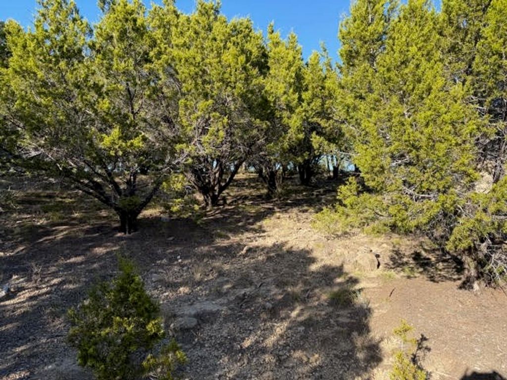 Lot 599 Caprock Court, Possum Kingdom Lake, TX 76449