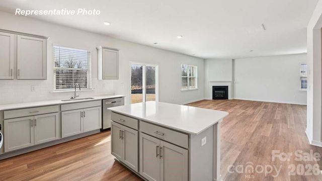 15007 Murrelet Way, Charlotte, NC 28215