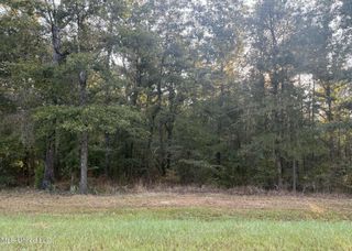 00 Shire Avenue, Forest, MS 39074