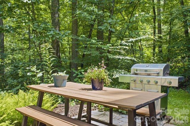 101 Reeds Creek Road, Fairview, NC 28730