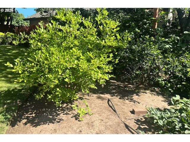 3415 Sw 116TH Ave, Beaverton, OR 97005