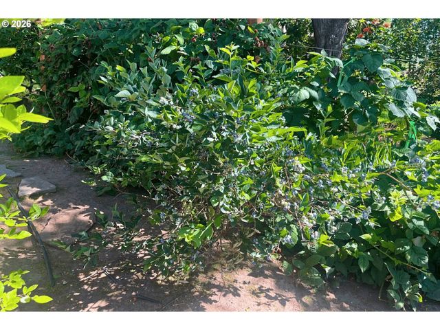 3415 Sw 116TH Ave, Beaverton, OR 97005