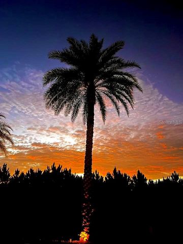 2253 ST GEORGE DRIVE, Davenport, FL 33837