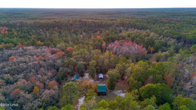 38134 SW Forest Road 123, Bristol, FL 32321