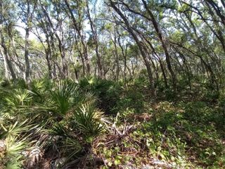34457 PRIMROSE LANE, Webster, FL 33597