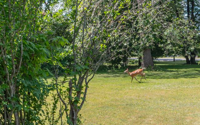 52288 Laurel Road, South Bend, IN 46637