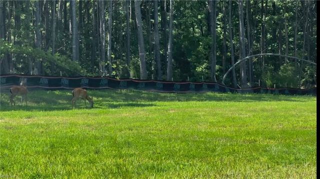 1008 Serene Rd Unit 100, Suffolk, VA 23435