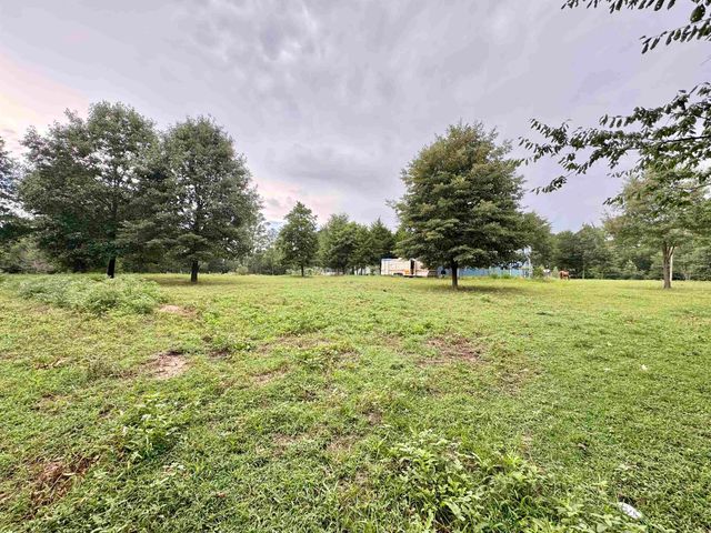 11229 Ocelot Rd., Gilmer, TX 75644